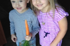 First carrot from our garden :)